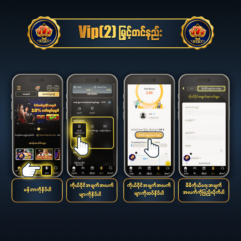 5.2-VIP-II.jpg
